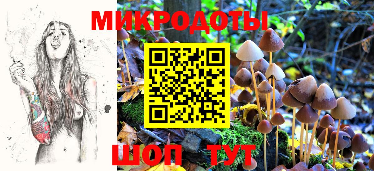 Казань  наркота  Вход с VPN  Галлюциногенные грибы Magic Shrooms  Псилоцибиновые грибы Cubensis 